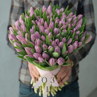 101 фиолетовый тюльпан без упаковки