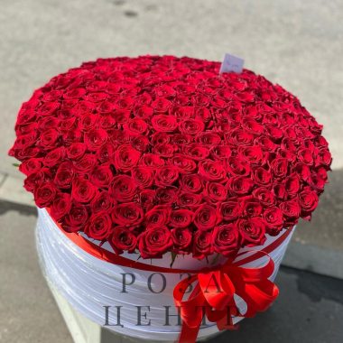 201 красная роза в коробке