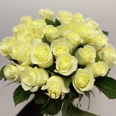 25 белых роз Эквадор 60 см