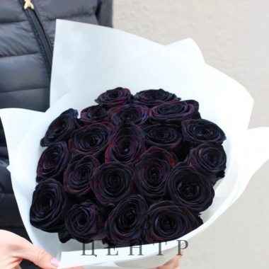 25 черных роз Эквадор