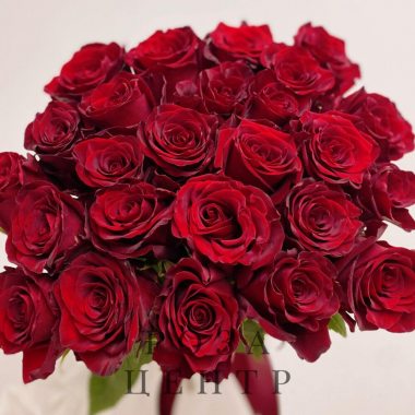 25 красных роз Эквадор 60 см
