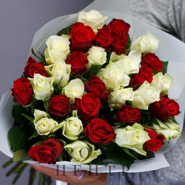 Букет из 35 красных и белых роз Standart