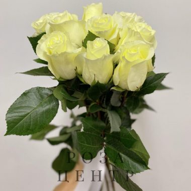 9 белых роз Эквадор 60 см