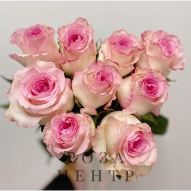 9 светло-розовых роз Эквадор 60 см