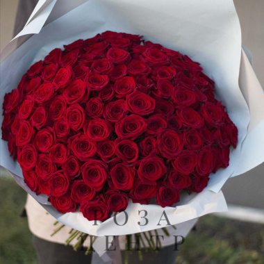 Букет из 101 розы «VisPlantis»