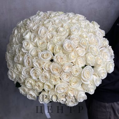 Большой букет из 101 белой розы