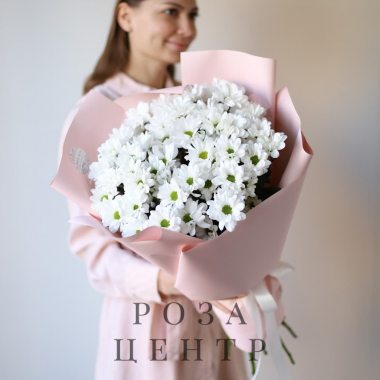 Хризантемы ромашковые в розовом оформлении (7 шт) №1008
