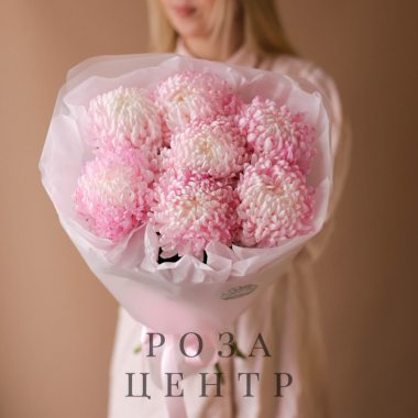 Нежно-розовые одноголовые хризантемы в оформлении (7 шт) №1797