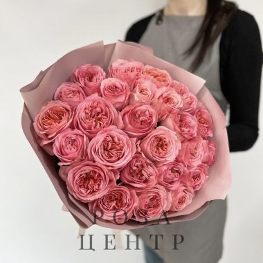 Роза пионовидная Pink Expression «Elina»