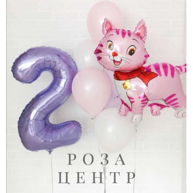 Набор воздушных шаров с фольгированной цифрой и фигурой розового котенка