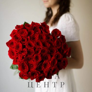 Розы красные в ленту (51 шт) №1725